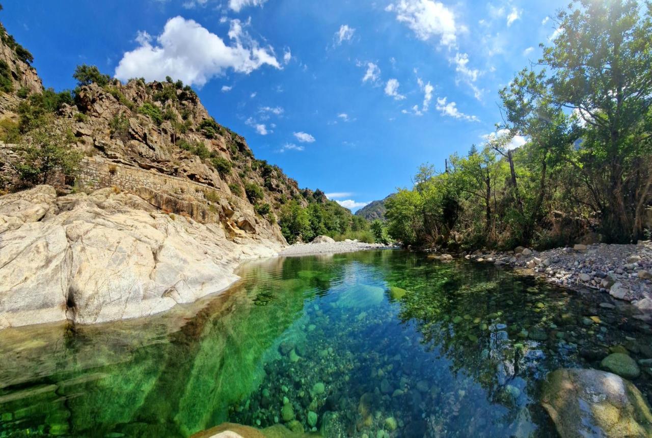 Domaine U Filanciu, Maison Ghjulia Avec Piscine - Centre Corse Hébergement de vacances *