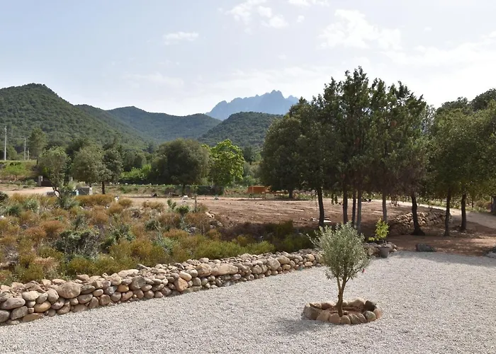 Domaine U Filanciu - Casa Ghjulia - Centru Di Corsica