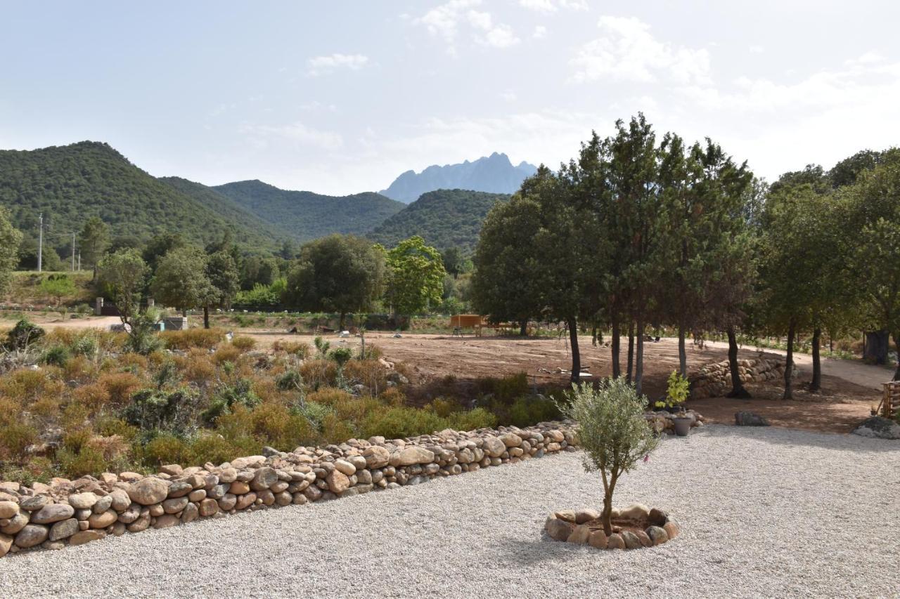 Domaine U Filanciu - Casa Ghjulia - Centru Di Corsica